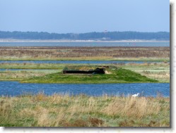 P1100990 * Affuts en Baie de Somme. * 1600 x 1200 * (609KB)