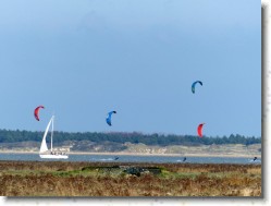 P1110003 * Kite et voile en Baie de Somme. * 1600 x 1200 * (445KB)