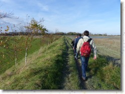 P1110009 * Sur le sentier du littoral. * 1600 x 1200 * (715KB)
