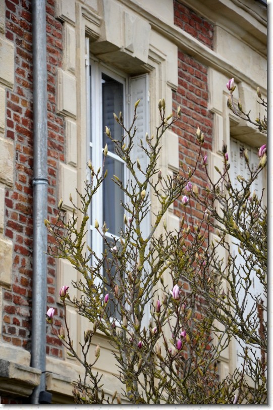 Cliquer pour l'image originale
