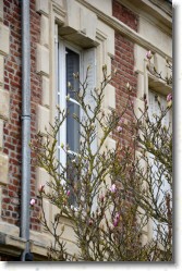 Laon (077) * Le printemps arrive ! * 1059 x 1600 * (583KB)