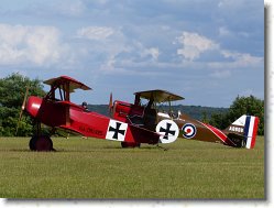 P1070775 * Autres avions de l�gende. * 1600 x 1200 * (517KB)