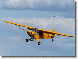 P1080350 * Piper Cub. * 1600 x 1200 * (219KB)