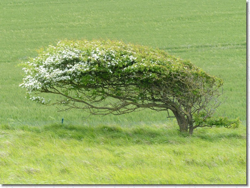 Cliquer pour l'image originale
