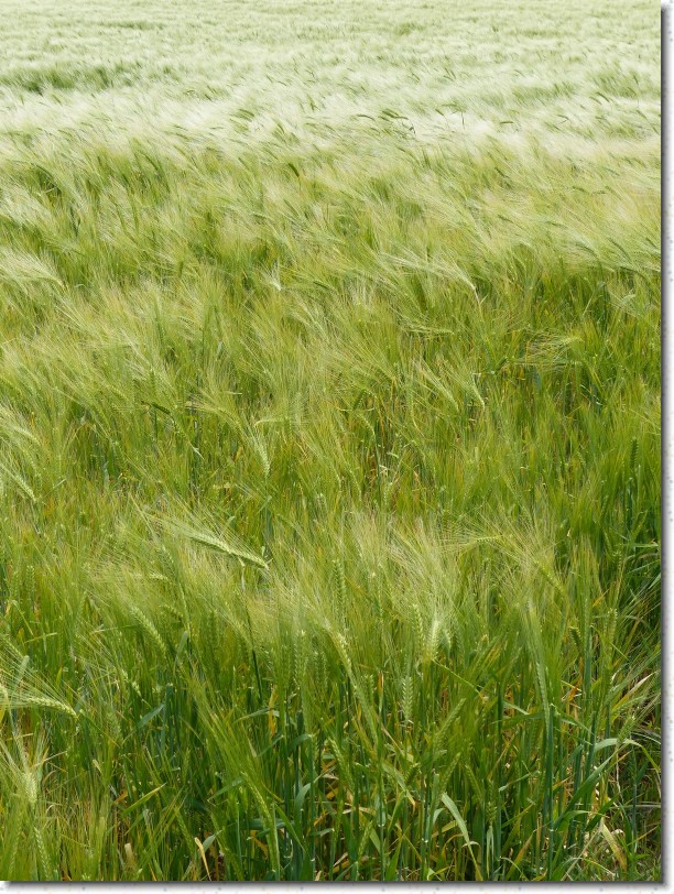 Cliquer pour l'image originale