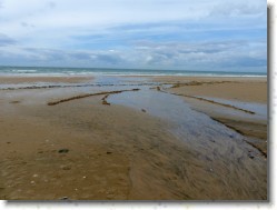 P1140708 * Sur la plage. * 1600 x 1200 * (363KB)