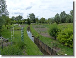 P1150227 * Les Marais de Bourges : une zone humide aménagée et cultivée lentement par les hommes depuis le 8ème siècle ! * 1600 x 1200 * (695KB)
