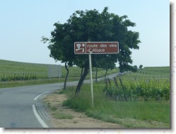 P1140028 * Sur la route des vins en direction de Riquewihr. * 1600 x 1200 * (485KB)